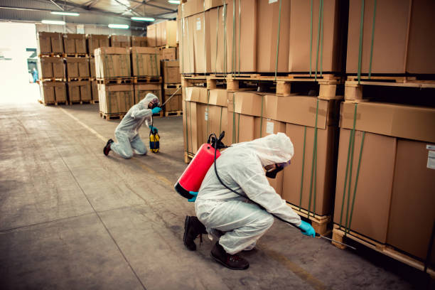 Best Wasp Removal Services  in Sarcoxie, MO