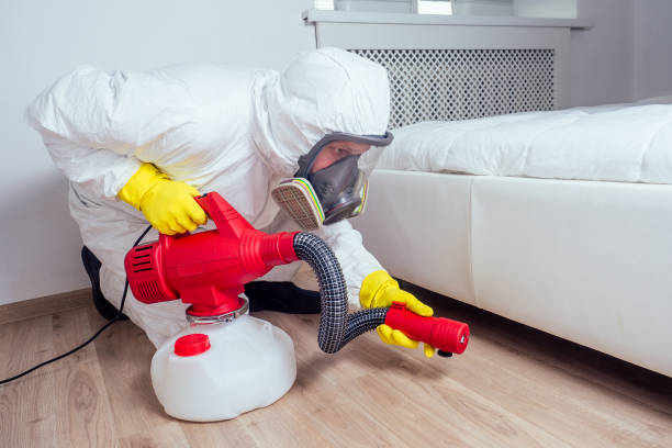 Best Insect Control  in Sarcoxie, MO