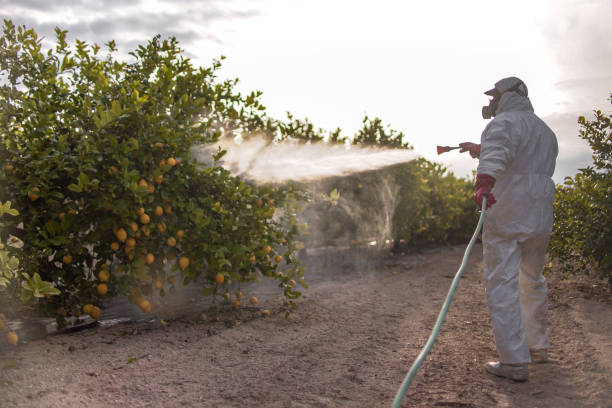 Best Residential Pest Control  in Sarcoxie, MO