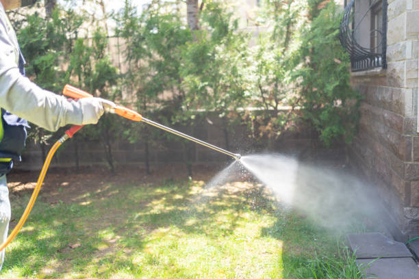 Professional Pest Control in Sarcoxie, MO