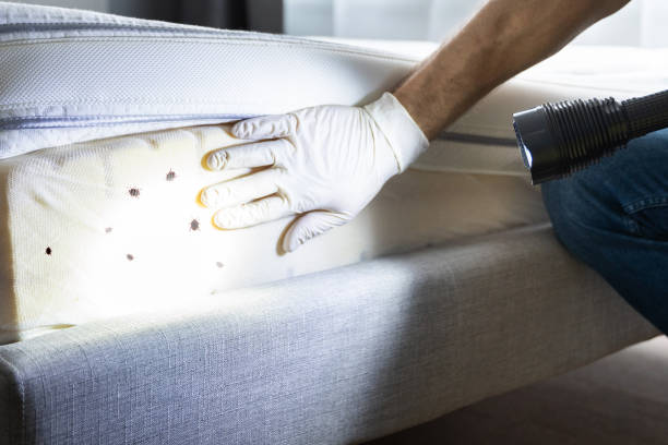 Best Pest Control Near Me  in Sarcoxie, MO