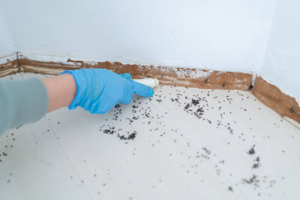 Best Pest Removal Services  in Sarcoxie, MO